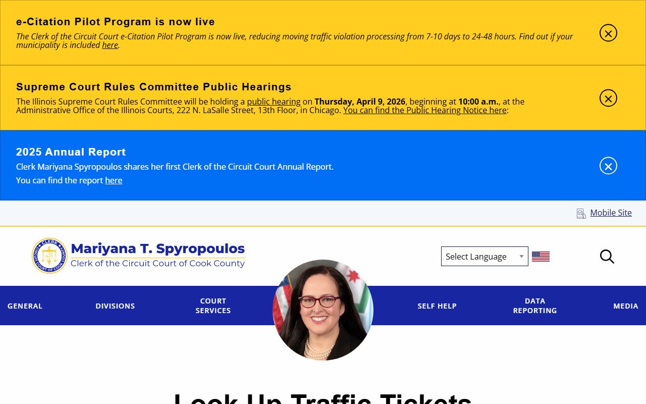 Cook County traffic ticket search tool for traffic ticket records